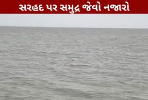 બનાસકાંઠા (Banaskantha)ના સુઈગામ તાલુકાના પ્રસિદ્ધ નડાબેટ (Nadabet)ના અફાટ રણમાં વરસાદી પાણી (Desert Flood)ભરાઈ જતાં સમગ્ર વિસ્તાર દરિયા જેવો દેખાઈ રહ્યો છે