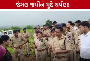 Narmada Forest Land Dispute: વર્ષોથી ખેતી કરતા હોવાનો ગ્રામજનોનો દાવો, વન વિભાગે રોક્યું ખેડાણ