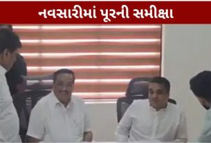 દક્ષિણ ગુજરાતમાં ભારે વરસાદ બાદ નવસારી જિલ્લામાં સર્જાયેલી ગંભીર પૂર (Navsari Flood)ની પરિસ્થિતિને પગલે રાજ્ય અને કેન્દ્ર સરકાર એક્શનમાં આવી છે