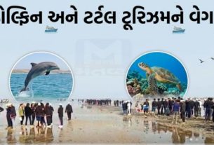 ગુજરાત (Gujarat)પોતાના લાંબા દરિયાકિનારા, સમૃદ્ધ દરિયાઈ જીવસૃષ્ટિ, ટાપુઓ અને હરિયાળા જંગલોને આધારે ઇકો અને મરીન ટૂરિઝમ (Tourism)ક્ષેત્રે નવી ઓળખ બનાવી રહ્યું છે