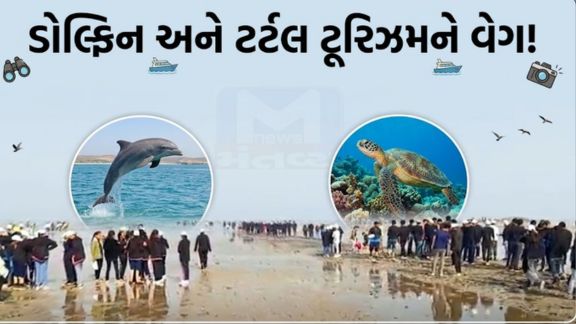 ગુજરાત (Gujarat)પોતાના લાંબા દરિયાકિનારા, સમૃદ્ધ દરિયાઈ જીવસૃષ્ટિ, ટાપુઓ અને હરિયાળા જંગલોને આધારે ઇકો અને મરીન ટૂરિઝમ (Tourism)ક્ષેત્રે નવી ઓળખ બનાવી રહ્યું છે