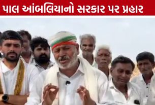 વીજ લાઈન વળતર મુદ્દે સરકાર ઘેરાઈ, Pal Ambaliyaએ ઉઠાવ્યા સવાલો