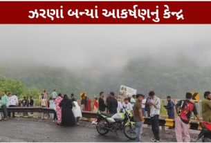 ચોમાસાની ધમાકેદાર શરૂઆત બાદ ગુજરાતનું પ્રસિદ્ધ યાત્રાધામ અને પર્યટન સ્થળ પાવાગઢ (Pavagadh)કુદરતી સૌંદર્યથી સોળે કળાએ ખીલી ઊઠ્યું છે