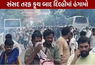નવી દિલ્હી (New Delhi)માં જંતર-મંતર (Jantar Mantar)પર ચાલી રહેલા CJP (કોકરોચ જનતા પાર્ટી)ના વિરોધ પ્રદર્શનને પોલીસે સોમવારે સમાપ્ત કરાવ્યું હતું.