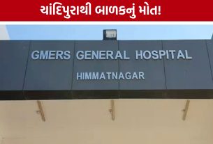 Sabarkantha Chandipura Virus:6 વર્ષના બાળકનું મોત