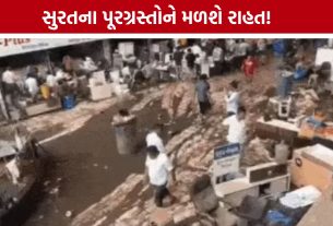 Surat Flood Relief: પૂર બાદ સહાય માટે સરકાર એક્શનમાં, હર્ષ સંઘવીનું મોટું નિવેદન