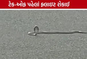 ચોમાસામાં Surat International Airport પર સાપની એન્ટ્રી, મુસાફરે પ્લેનમાંથી ઉતાર્યો વીડિયો