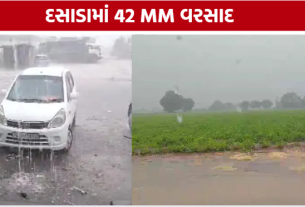 Surendranagar Rainfall, દસાડામાં સૌથી વધુ 42 મીમી વરસાદ