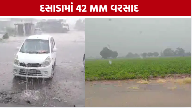 Surendranagar Rainfall, દસાડામાં સૌથી વધુ 42 મીમી વરસાદ