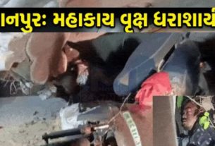 અમદાવાદ (Ahmedabad)શહેરમાં સતત વરસી રહેલા વરસાદ વચ્ચે વૃક્ષ ધરાશાયી (Tree Collapse)થવાની ઘટનાઓમાં વધારો નોંધાઈ રહ્યો છે