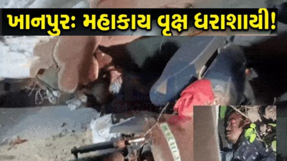 અમદાવાદ (Ahmedabad)શહેરમાં સતત વરસી રહેલા વરસાદ વચ્ચે વૃક્ષ ધરાશાયી (Tree Collapse)થવાની ઘટનાઓમાં વધારો નોંધાઈ રહ્યો છે