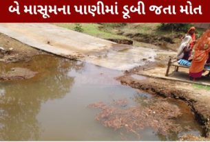 છોટાઉદેપુર (Chhota Udepur)જિલ્લાના કવાંટ તાલુકાના મોટી ઝડુલી (Moti Zhaduli)ગામમાં એક હૃદયદ્રાવક ઘટના સામે આવી છે. પાઇપલાઇનમાં લીકેજ થતાં ભરાયેલા પાણીમાં ડૂબી (Drown)જતાં બે માસૂમ બાળકીઓના કરુણ મોત (Child Death)નિપજ્યા હોવાનું સામે આવ્યું છે