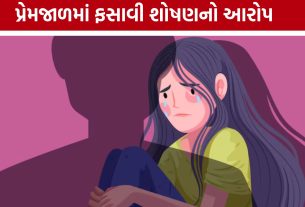 Vadodara POCSO Case: સગીરા સાથે શારીરિક શોષણનો આરોપ