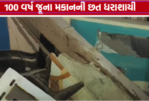 વાડીમાં House Roof Collapse થતાં અફરાતફરી, ફાયર બ્રિગેડે બે લોકોને બચાવ્યા