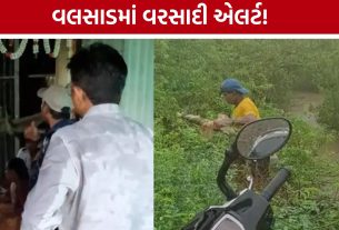 Valsad Heavy Rain: નીચાણવાળા વિસ્તારોના લોકોને સલામત સ્થળે ખસેડાયા