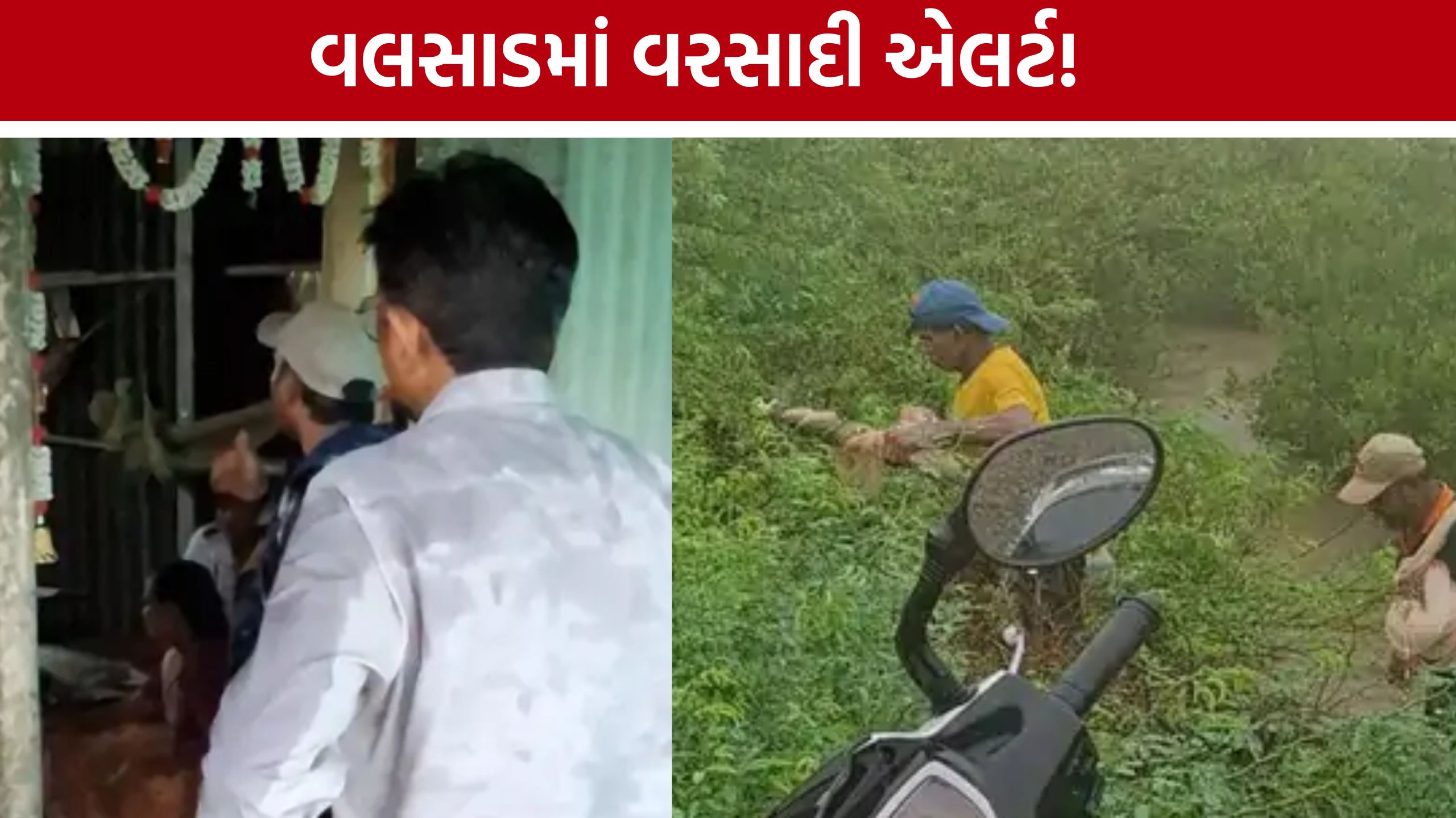 Valsad Heavy Rain: નીચાણવાળા વિસ્તારોના લોકોને સલામત સ્થળે ખસેડાયા