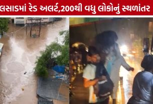 Valsad Heavy Rain: મેઘરાજાનું રૌદ્ર સ્વરૂપ, ઔરંગા નદીના ઘોડાપૂરે વધારી ચિંતા