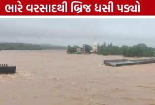 Umargam Bridge Collapse: દક્ષિણ ગુજરાતમાં પૂરનો પ્રકોપ, વલસાડમાં બ્રિજ તૂટતાં ચિંતા વધી
