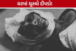 Leopard Attack: 18 ફૂટની દીવાલ કૂદી દીપડો ઘરમાં ઘૂસ્યો, વૃદ્ધા ગંભીર