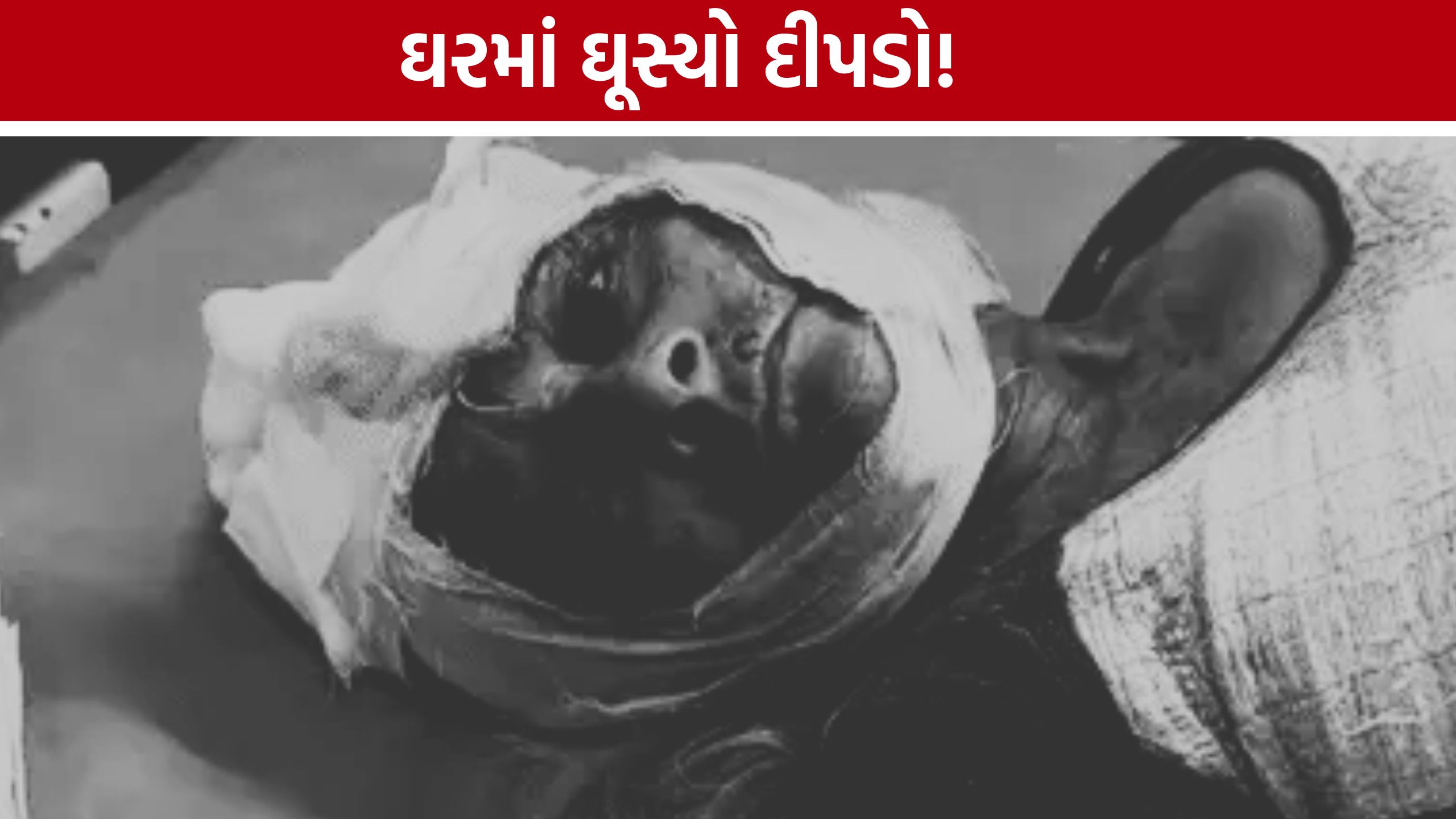 Leopard Attack: 18 ફૂટની દીવાલ કૂદી દીપડો ઘરમાં ઘૂસ્યો, વૃદ્ધા ગંભીર