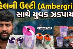 સ્ટેટ મોનિટરિંગ સેલ (SMC)એ અમદાવાદ-ભાવનગર હાઈવે પર મોટી કાર્યવાહી કરીને અંદાજે ₹1.01 કરોડની કિંમતનું 1.01 કિલો એમ્બરગ્રીસ (Ambergris)(વ્હેલ માછલીની ઉલ્ટી) જપ્ત કર્યું છે