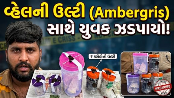 સ્ટેટ મોનિટરિંગ સેલ (SMC)એ અમદાવાદ-ભાવનગર હાઈવે પર મોટી કાર્યવાહી કરીને અંદાજે ₹1.01 કરોડની કિંમતનું 1.01 કિલો એમ્બરગ્રીસ (Ambergris)(વ્હેલ માછલીની ઉલ્ટી) જપ્ત કર્યું છે