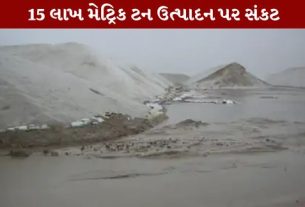 અત્યાર સુધીમાં આશરે 21 ઇંચ (523 મિ.મી.) વરસાદ નોંધાતા ખુલ્લામાં સંગ્રહ કરાયેલ અંદાજે 20 ટકા મીઠું (Salt)ધોવાઈ ગયું હોવાનું વેપારીઓએ જણાવ્યું છે