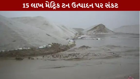 અત્યાર સુધીમાં આશરે 21 ઇંચ (523 મિ.મી.) વરસાદ નોંધાતા ખુલ્લામાં સંગ્રહ કરાયેલ અંદાજે 20 ટકા મીઠું (Salt)ધોવાઈ ગયું હોવાનું વેપારીઓએ જણાવ્યું છે
