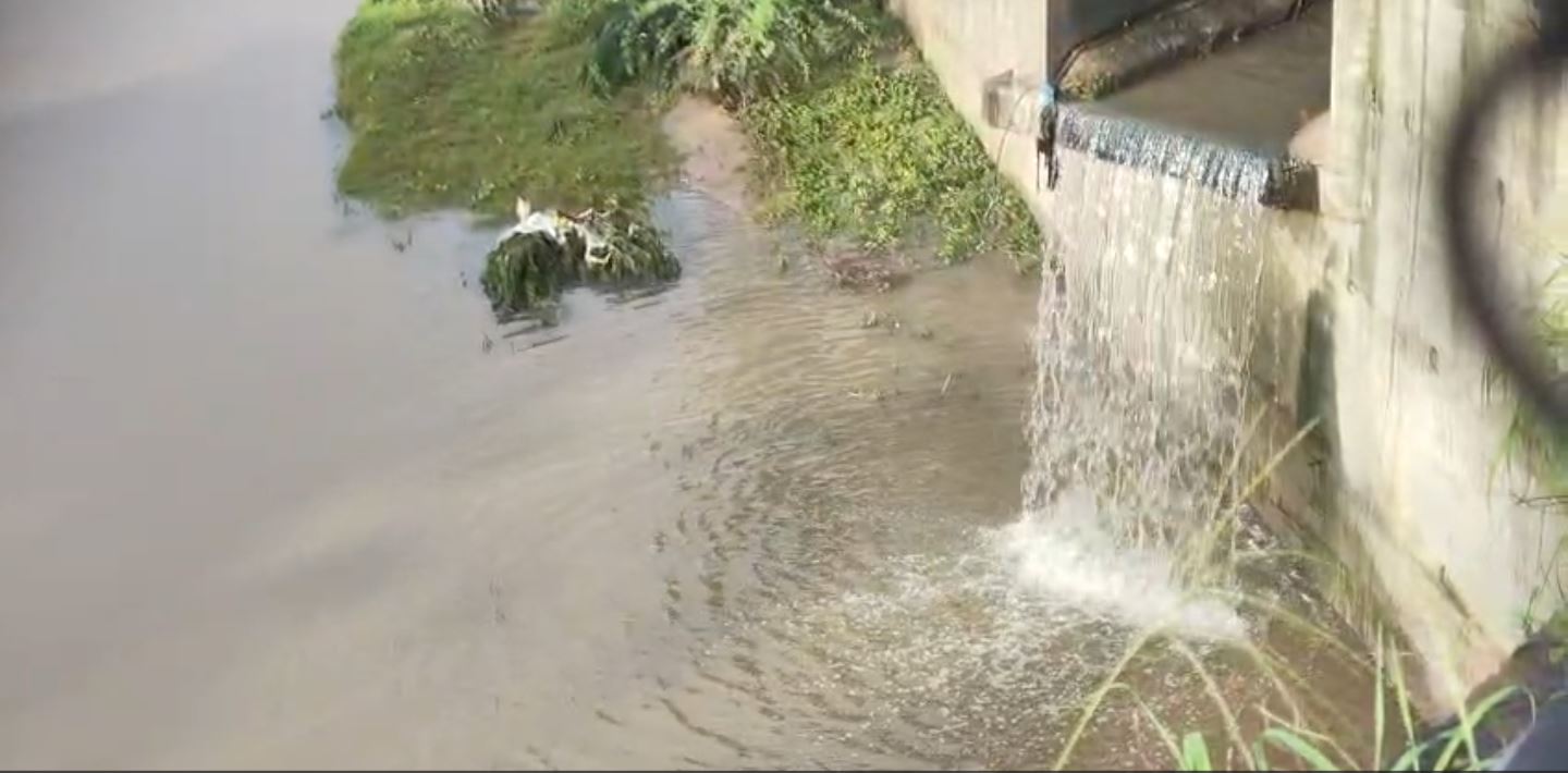 Vishwamitri River Pollution ઘૂંટાઈ રહી છે વડોદરાની ઓળખ