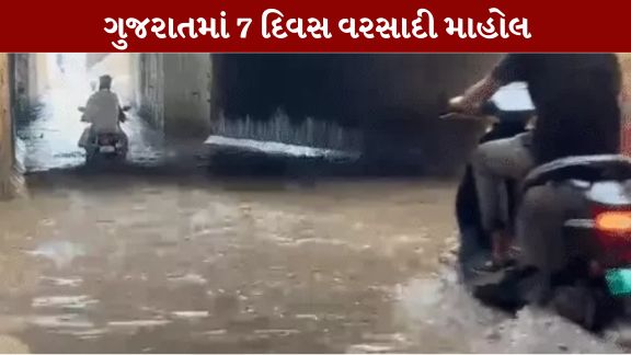 છેલ્લા 24 કલાક દરમિયાન રાજ્યના 159 તાલુકામાં વરસાદ (Rain)નોંધાયો છે.