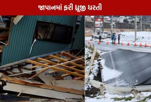 Japan Earthquake