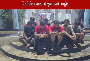 Gir Somnath: