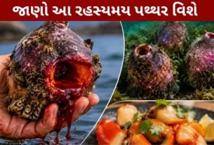 Ajab gajab News Miraculous Stone
