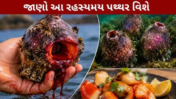 Ajab gajab News Miraculous Stone