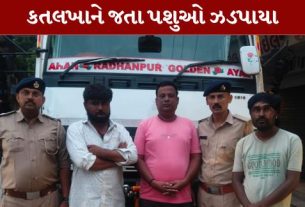 ડીસા (Deesa)દક્ષિણ પોલીસે ભોપાનગર ચાર રસ્તા પાસેથી પશુઓ ભરેલી એક ટ્રક ઝડપી (Animal Laden Truck Seized)પાડી છે
