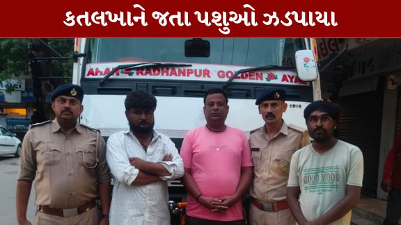 ડીસા (Deesa)દક્ષિણ પોલીસે ભોપાનગર ચાર રસ્તા પાસેથી પશુઓ ભરેલી એક ટ્રક ઝડપી (Animal Laden Truck Seized)પાડી છે