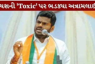 Annamalai lashes out at Yash's 'Toxic'