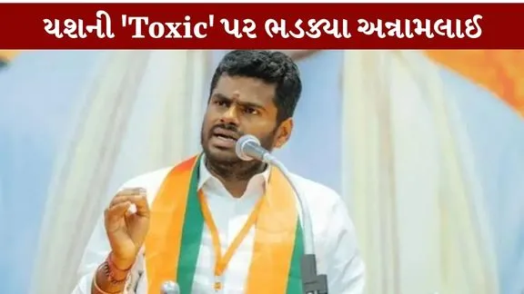 Annamalai lashes out at Yash's 'Toxic'
