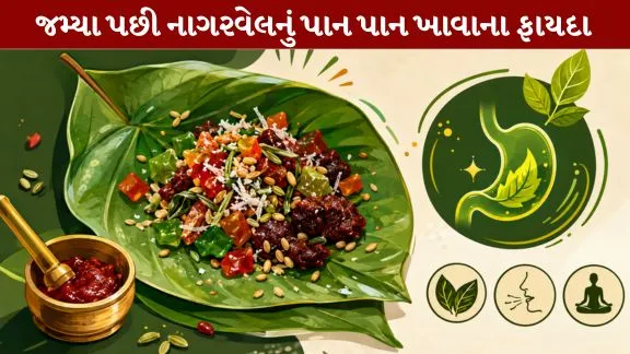 Benefits of eating a betel leaf after a meal.