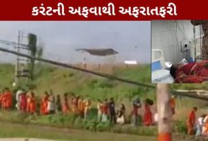 બિહારના લખીસરાયમાં અશોક ધામ મંદિરે શ્રાવણના સોમવારે મોટી દુર્ઘટના (Bihar Temple Stampede) સર્જાઈ હતી