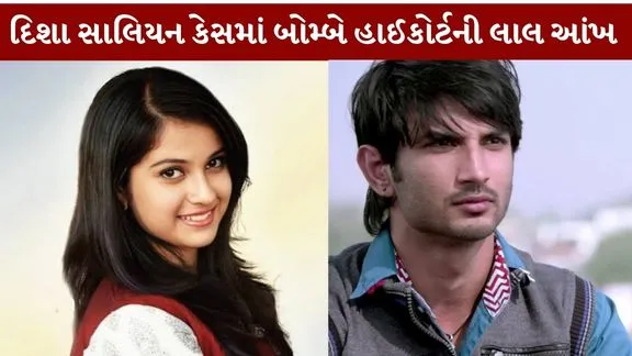 Bombay High Court stern Disha Salian case