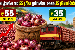 Onion Price in Delhi: દિલ્હીમાં ડુંગળી 55 રૂપિયા, સરકાર 35 રૂપિયામાં વેચશે