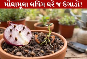Clove Plant Trick...લવિંગનો છોડ ઉગાડો, એ પણ ડુંગળીની મદદથી!