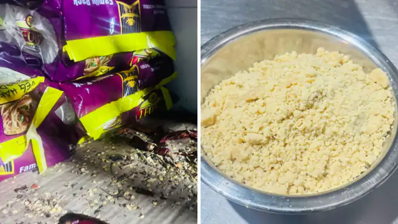 Kamrej Food Safety: 172 કિલો અખાદ્ય સામગ્રીનો નાશ, બે રેસ્ટોરન્ટ સીલ
