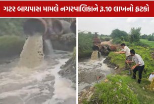 GPCB Action: પાટણ નગરપાલિકાને GPCBનો રૂ.10 લાખનો દંડ! STP બંધ