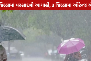 Gujarat Weather Update: 13 જિલ્લામાં વરસાદની આગાહી