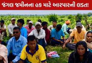 Narmada Tribal Farmers Protest: 12 ગામના ખેડૂતોનું 5મા દિવસે પણ ધરણાં