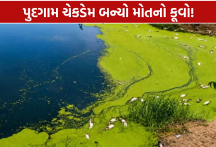 Pudgam Check Dam: હજારો જળચર જીવ મોતને ભેટ્યા