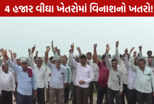 Farmers Protest: 4 હજાર વીઘા ખેતી પર સંકટ