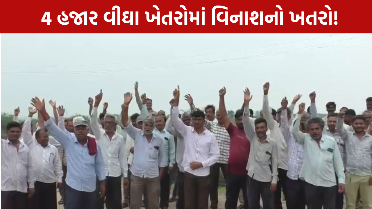 Farmers Protest: 4 હજાર વીઘા ખેતી પર સંકટ